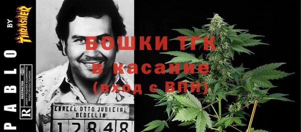 прущие крисы Алзамай