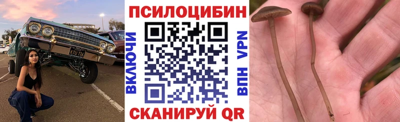 omg tor  Октябрьский  Галлюциногенные грибы Magic Shrooms 
