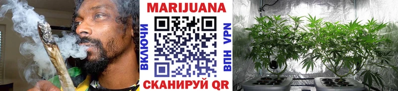 закладка  Октябрьский  Бошки Шишки планчик 